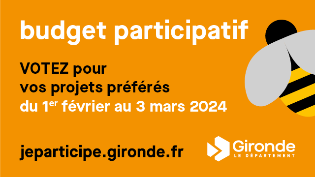 Budget Participatif : Promouvoir l'inclusion numérique en Gironde